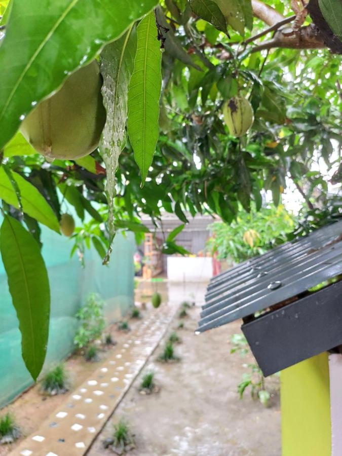 Stargaze Backpackers Hostel Guwahati Ngoại thất bức ảnh