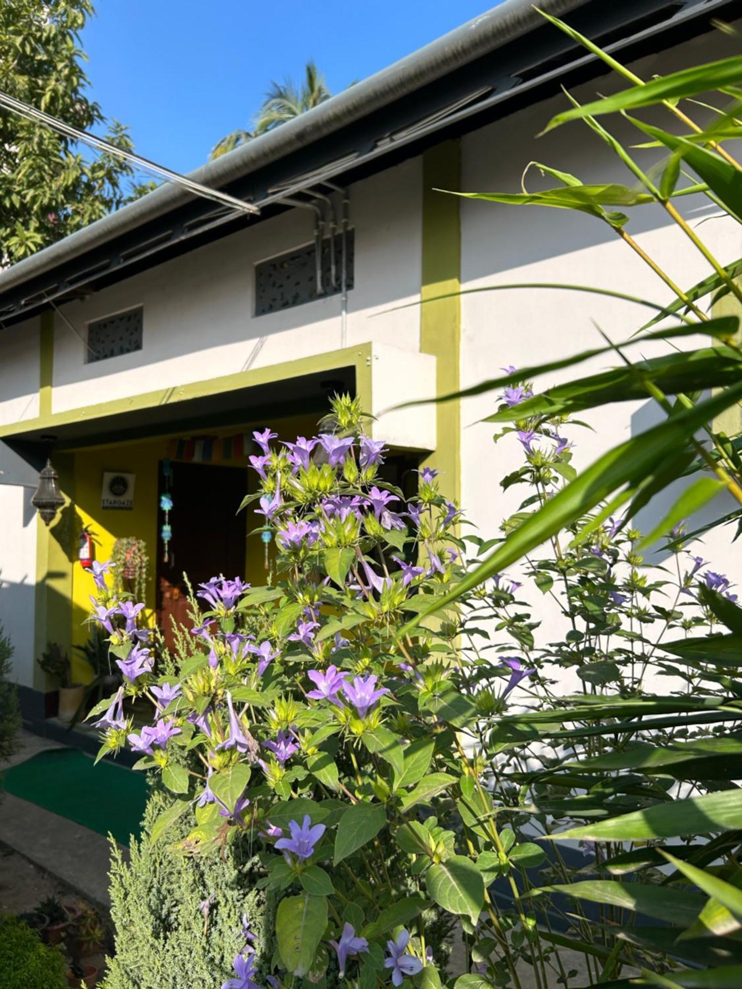 Stargaze Backpackers Hostel Guwahati Ngoại thất bức ảnh